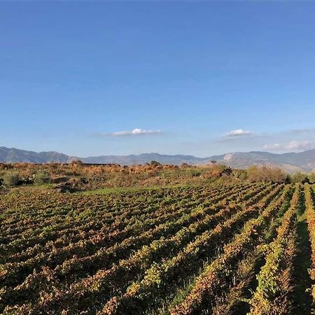 Animosa Suites Castiglione De Sicilia Εξωτερικό φωτογραφία