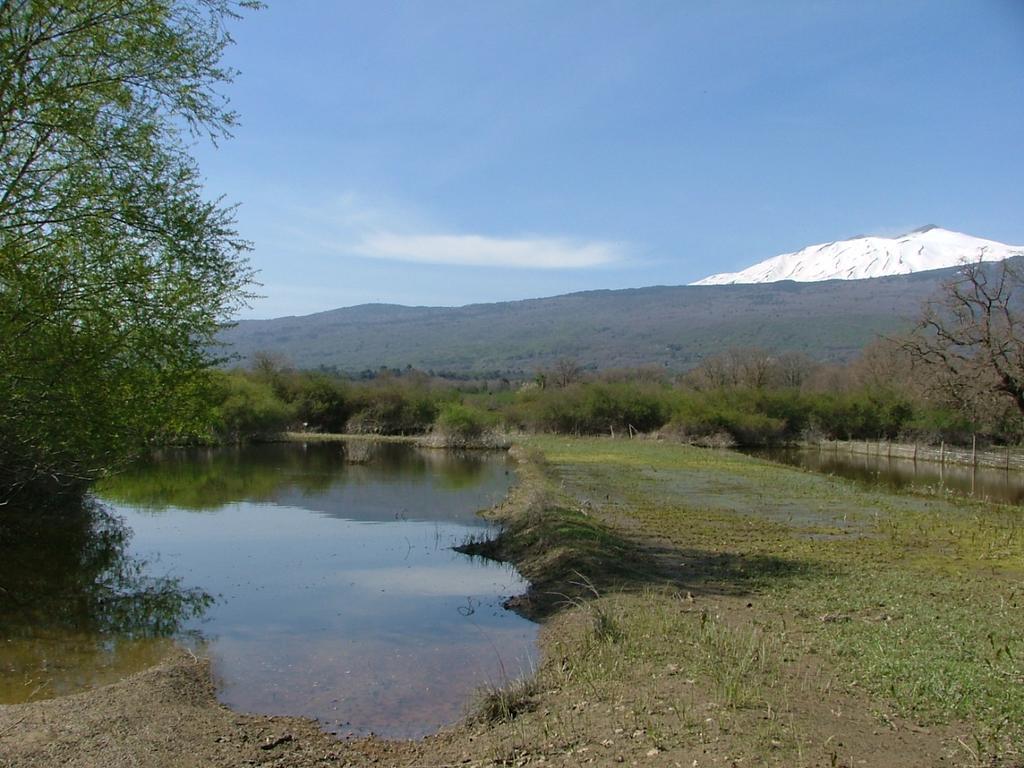 Animosa Suites Castiglione De Sicilia Εξωτερικό φωτογραφία