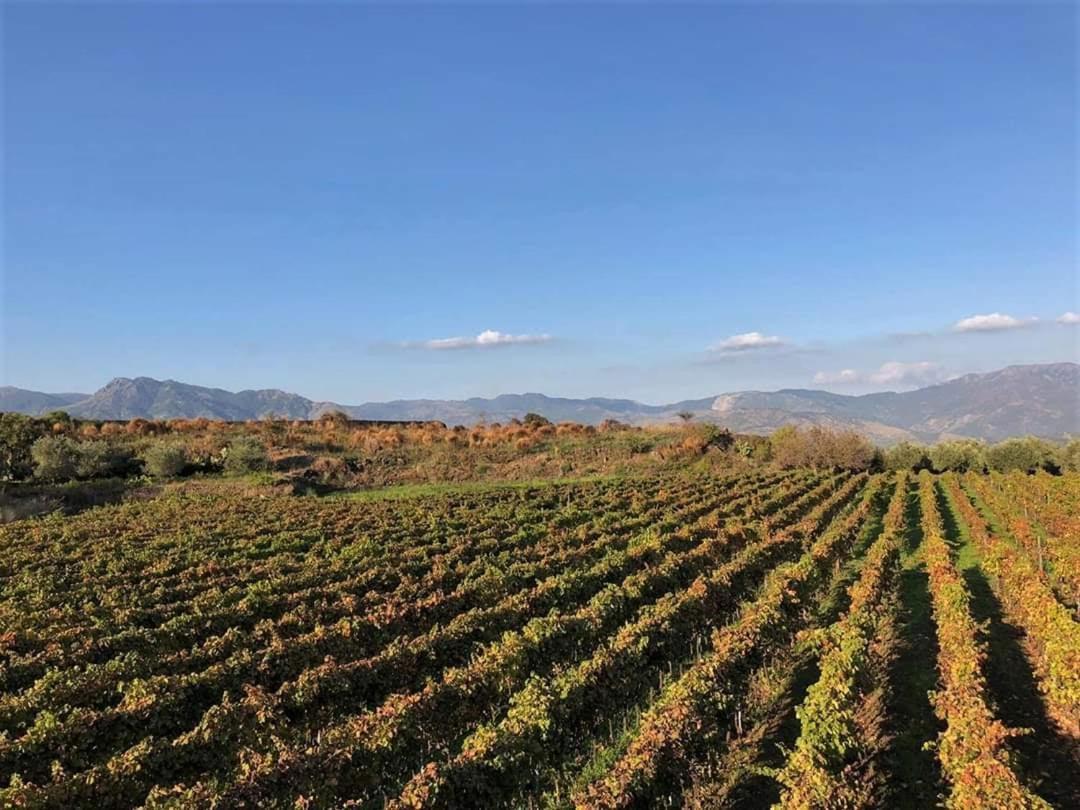 Animosa Suites Castiglione De Sicilia Εξωτερικό φωτογραφία