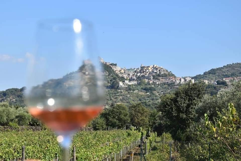 Animosa Suites Castiglione De Sicilia Εξωτερικό φωτογραφία
